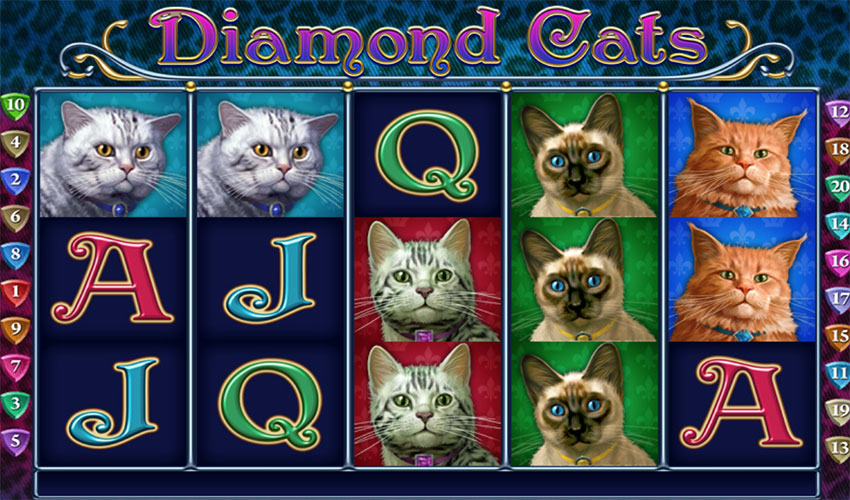 diamond_cats