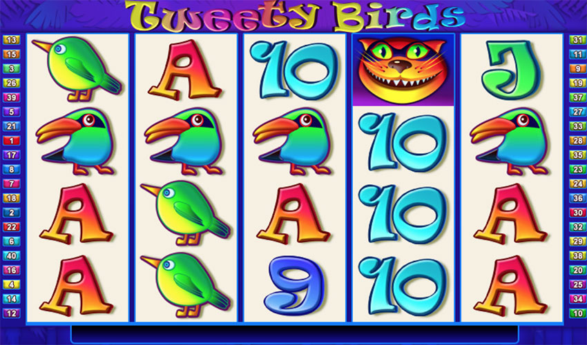 tweety_birds