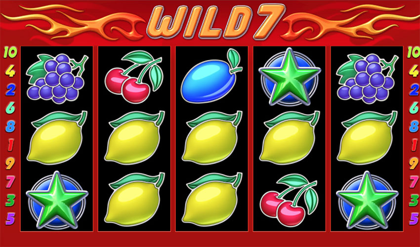wild_7