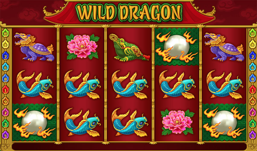 wild_dragon