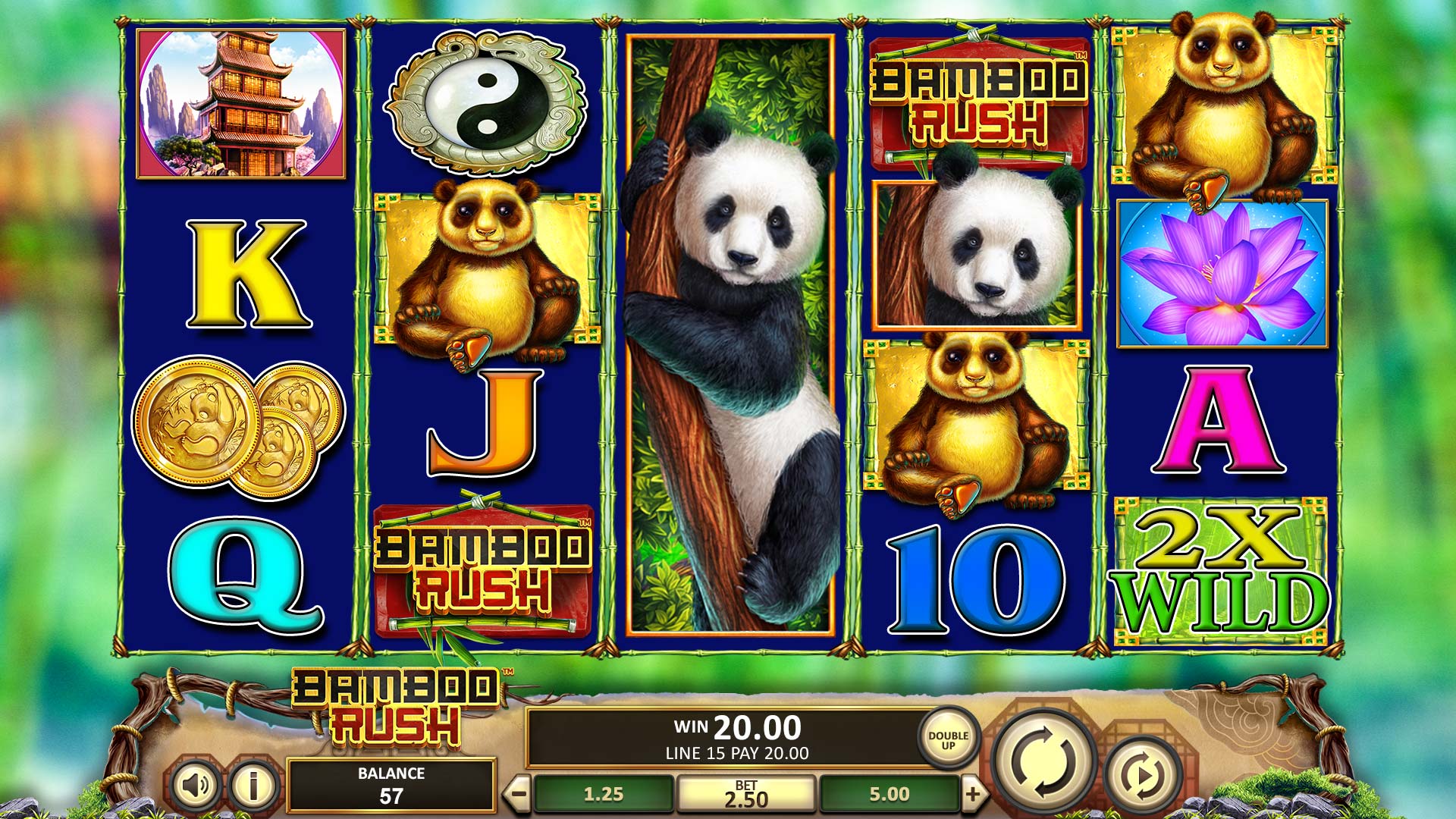 BAMBOO RUSH