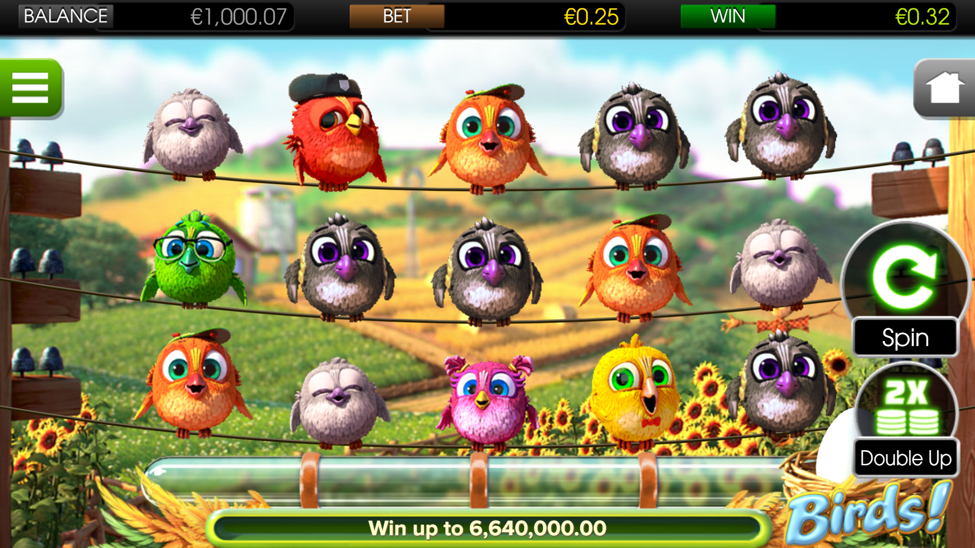 birds