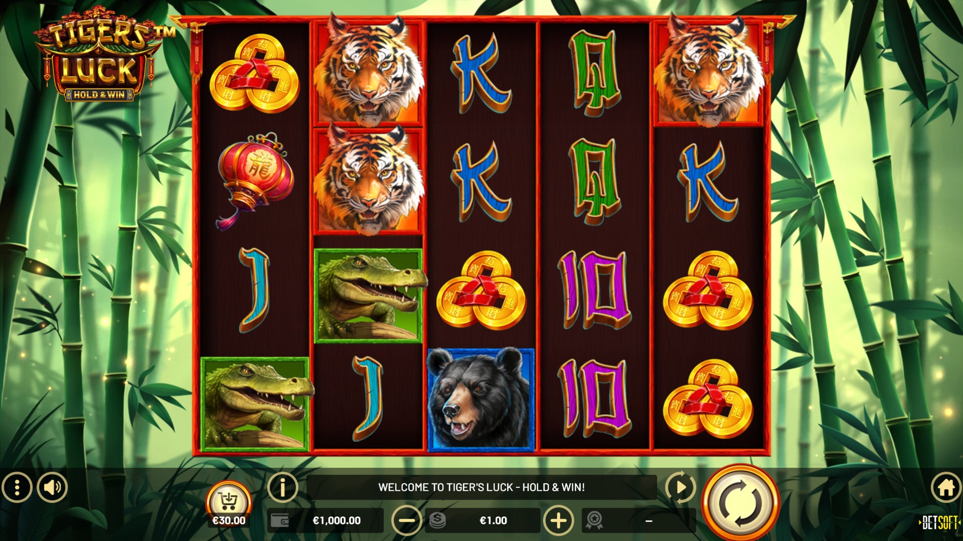 Tiger’s Luck – HOLD & WIN