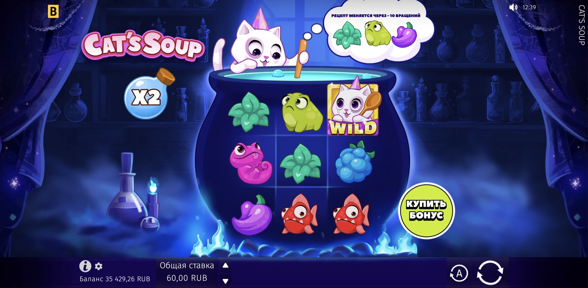 Cat's Soup