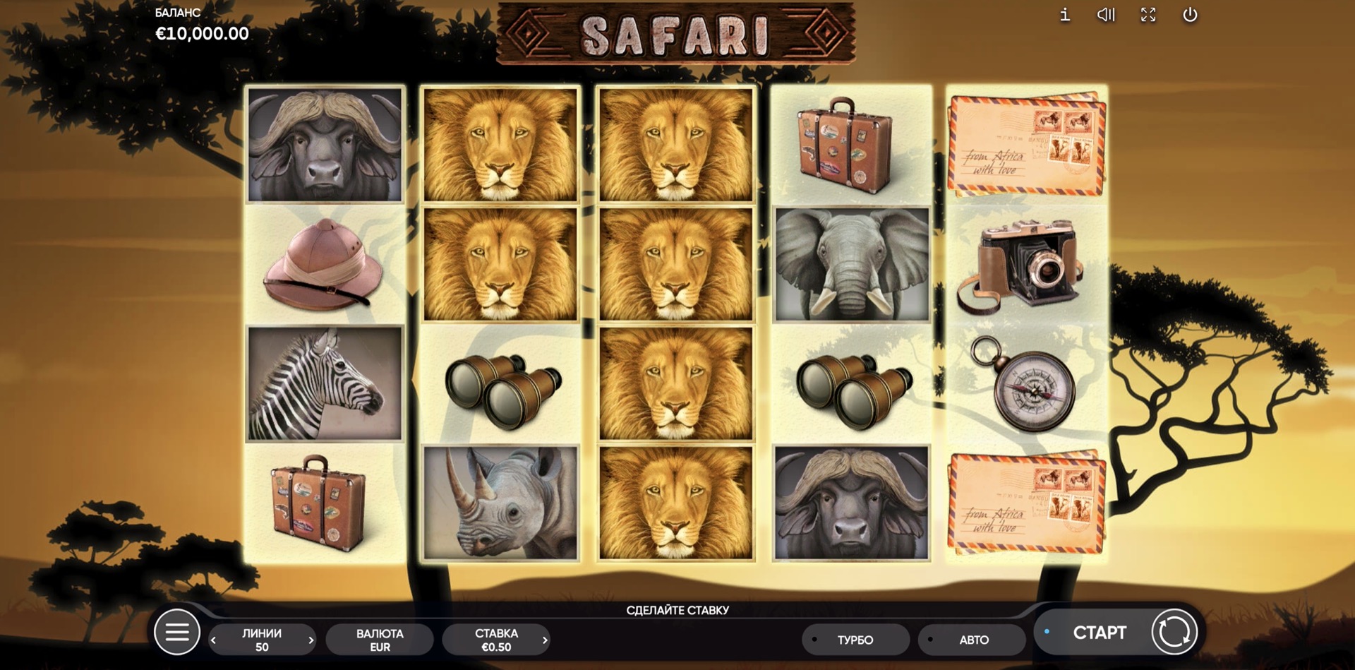 Safari