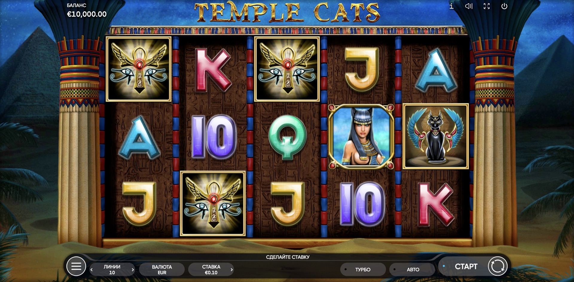 Temple Cats