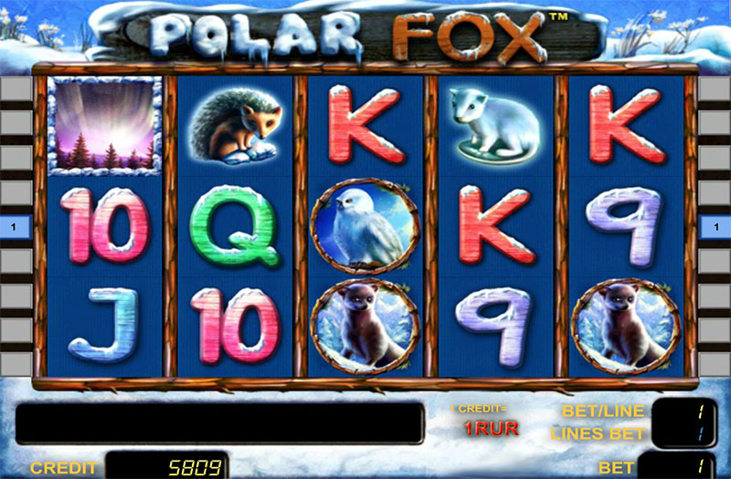 slot polar_fox polar_fox