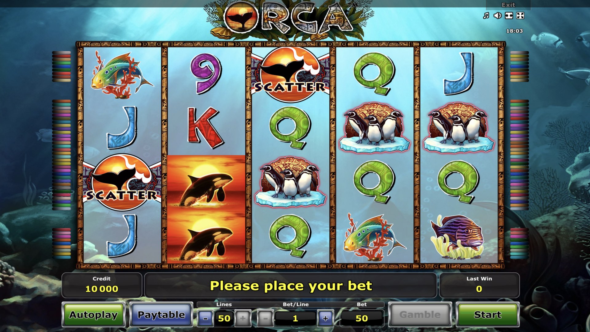 orca