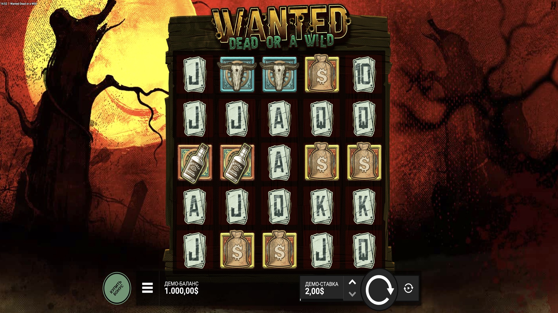 Wanted Dead or a Wild