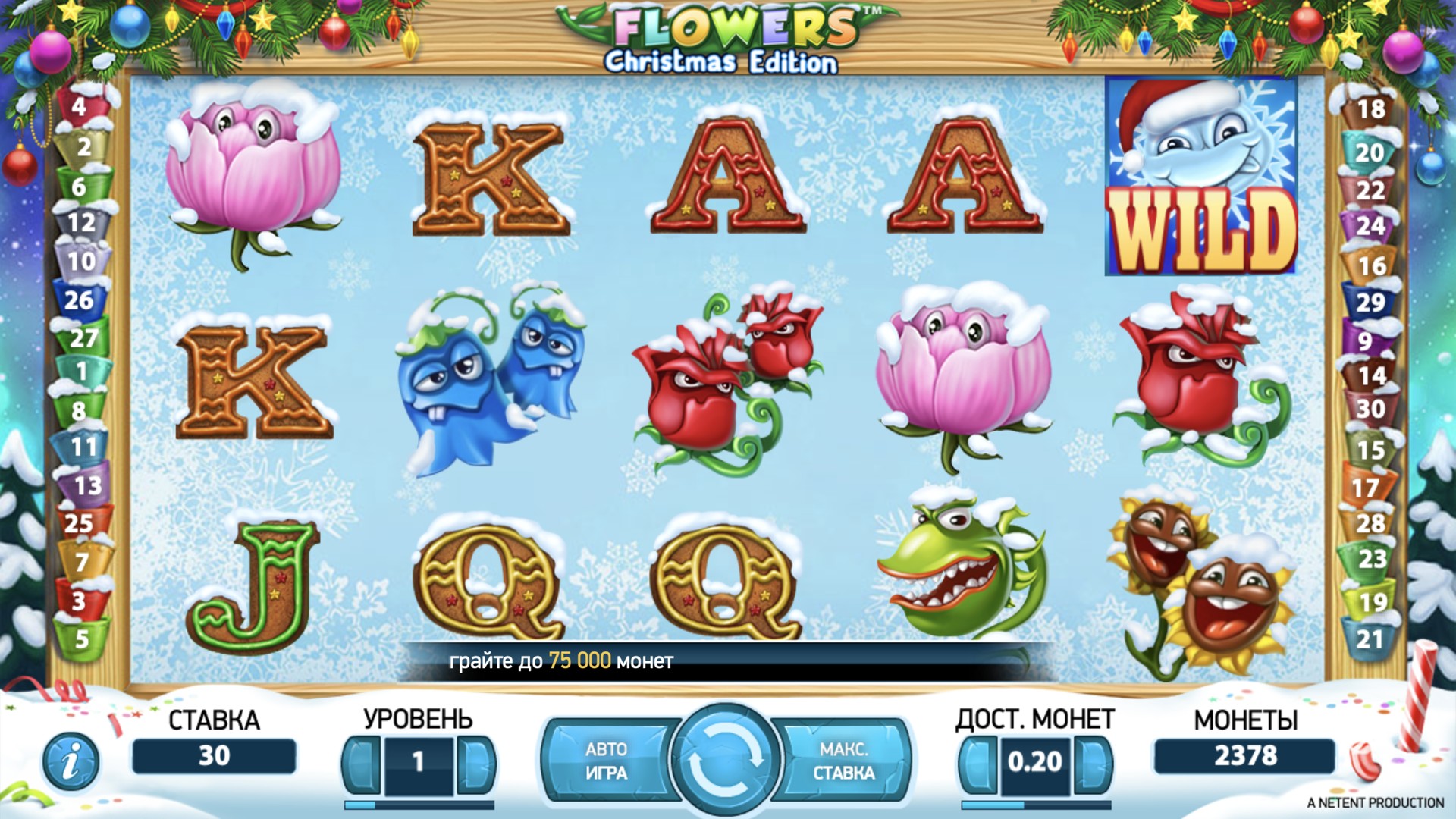 FlowersChristmas