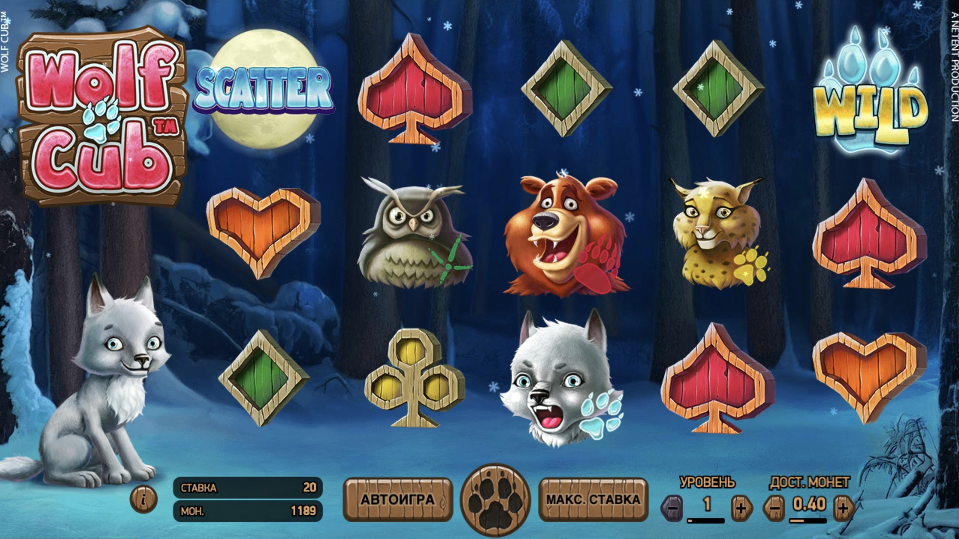wolf_cub