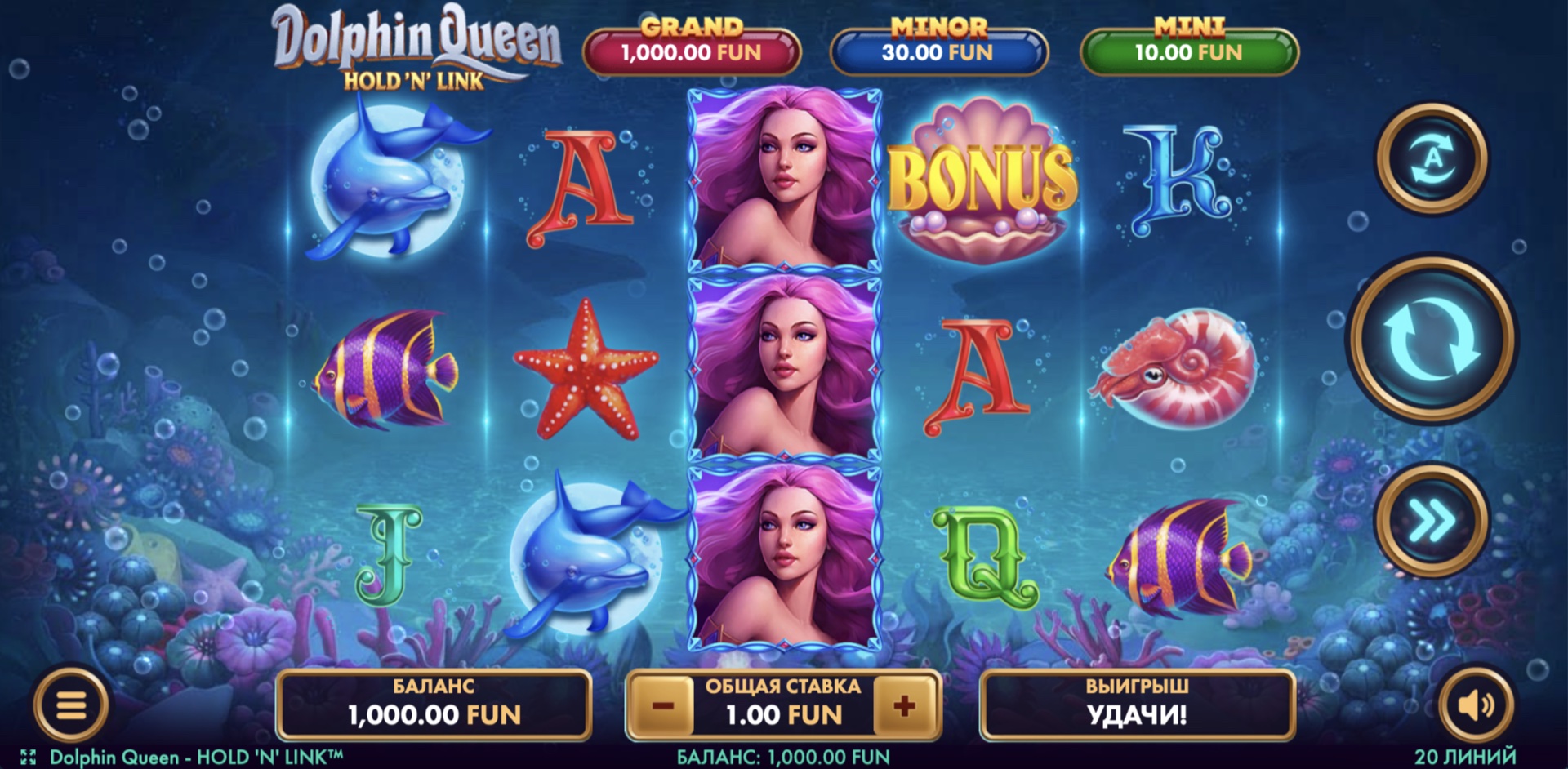 Dolphin Queen