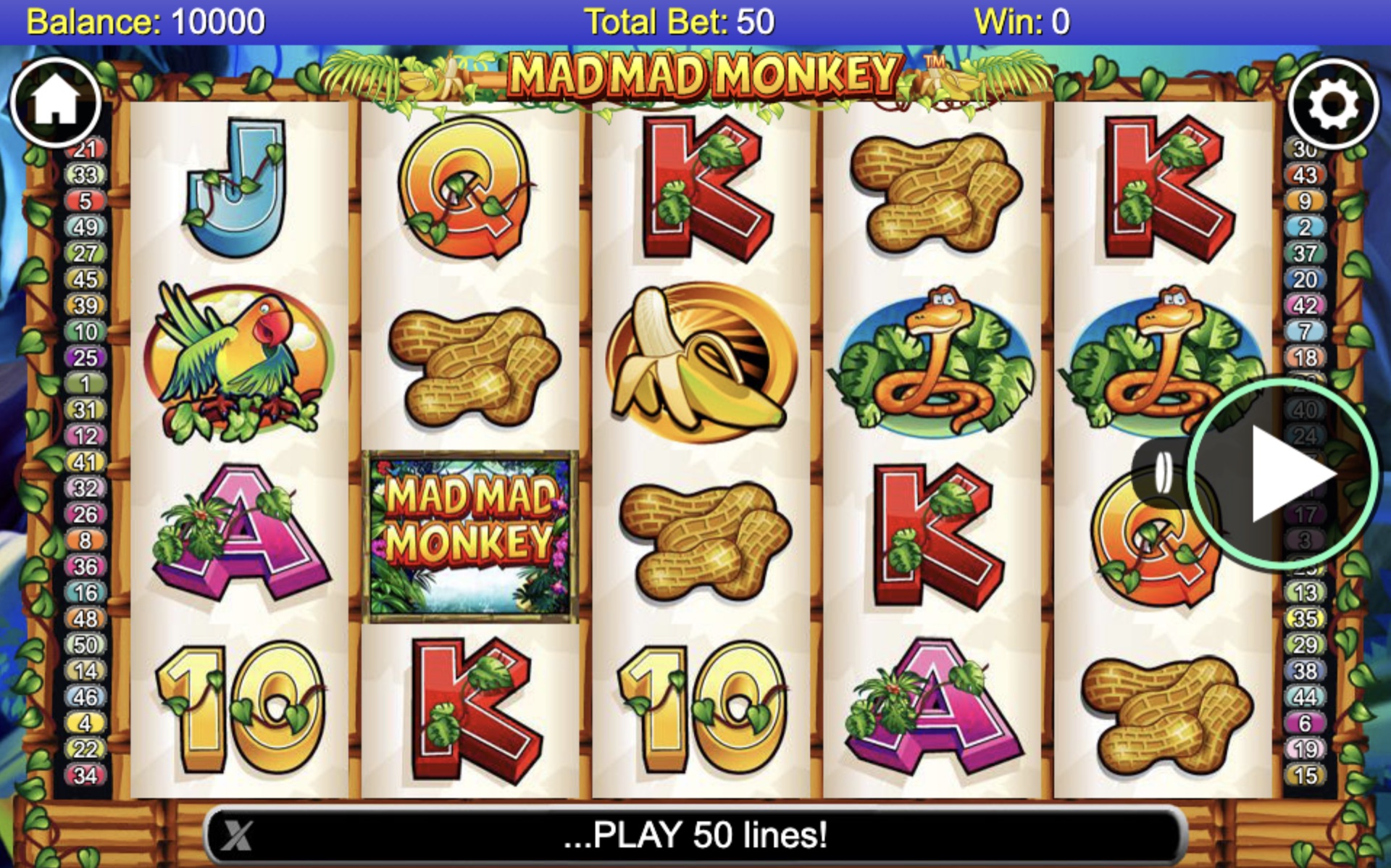 mad_mad_monkey