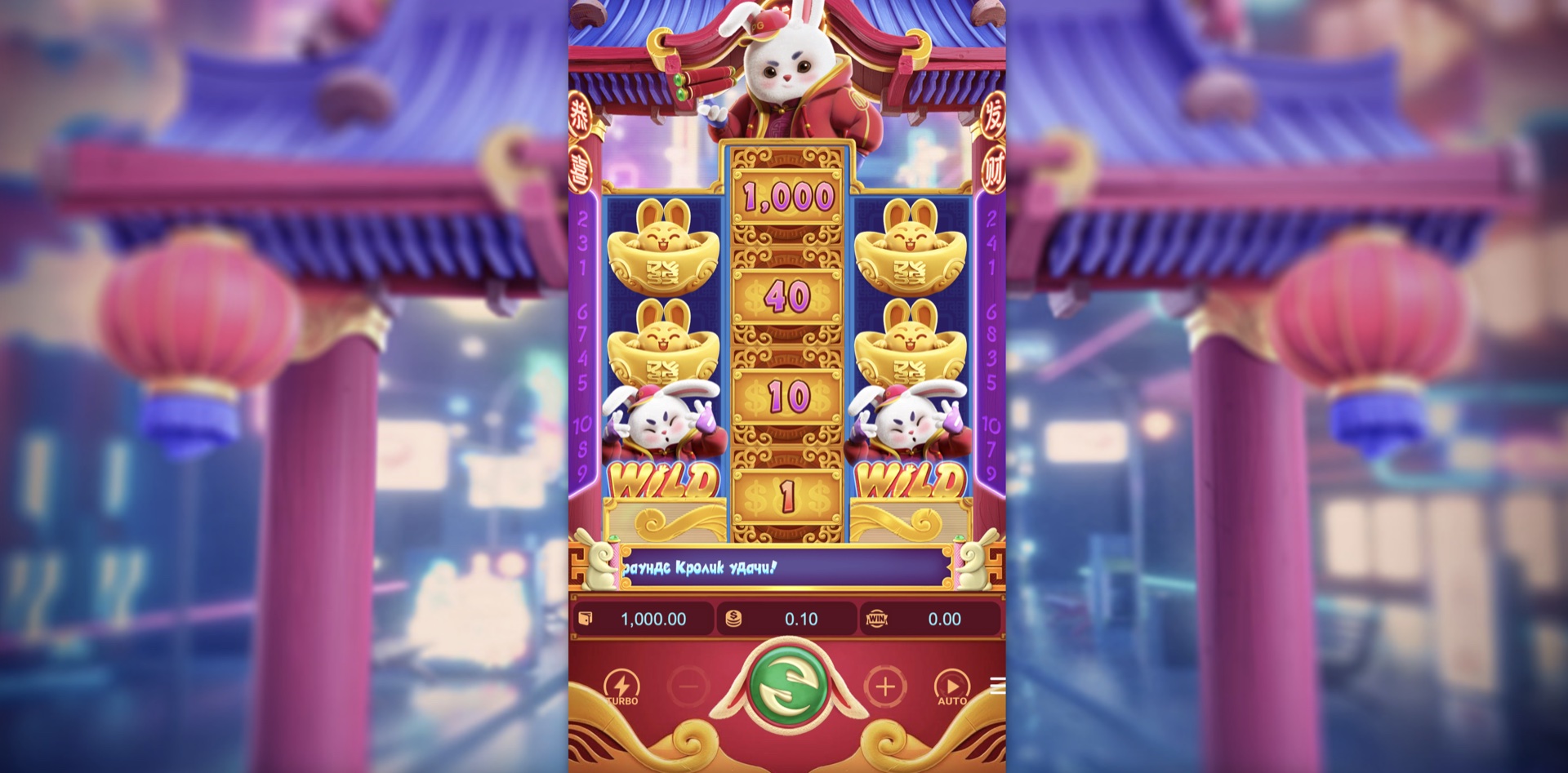 Fortune Rabbit