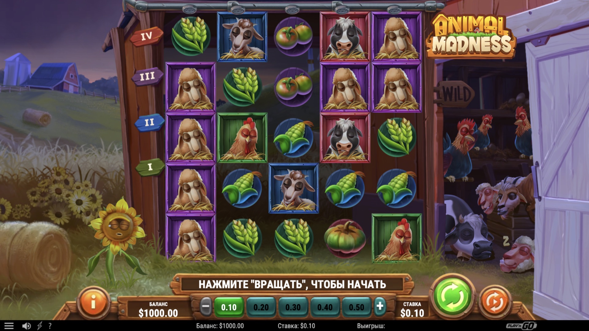 Animal Madness