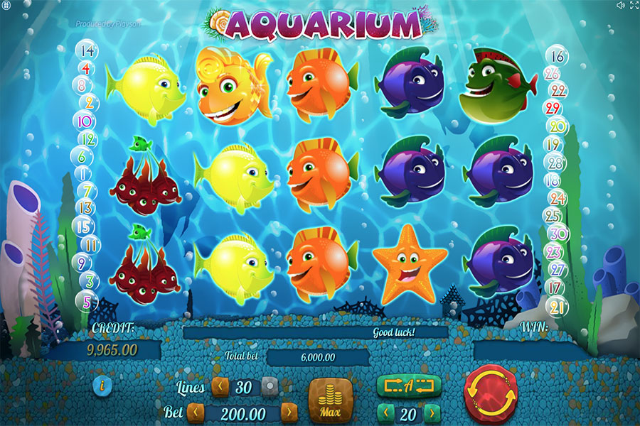 aquarium