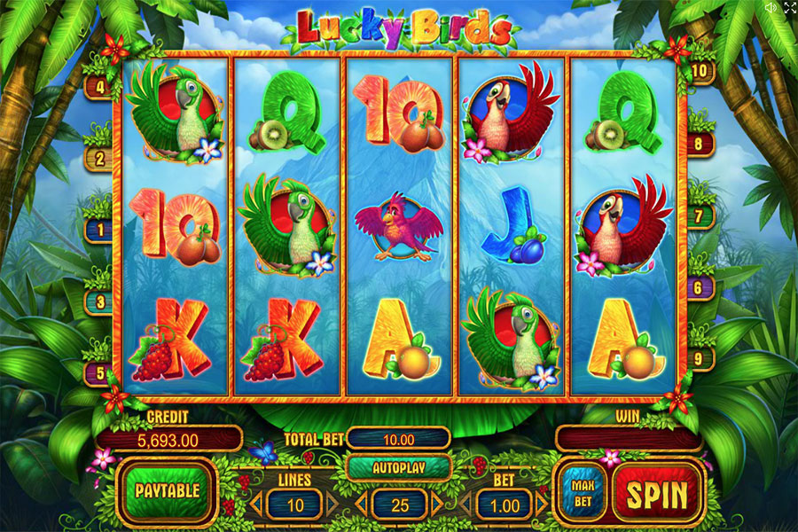 lucky_birds