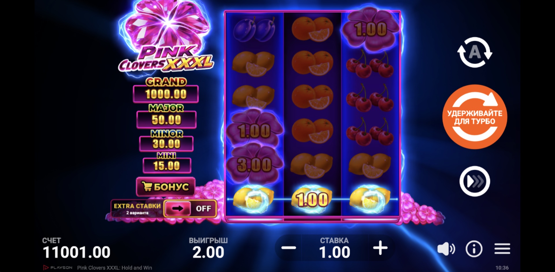 Pink Clover XXXL: Hold and Win