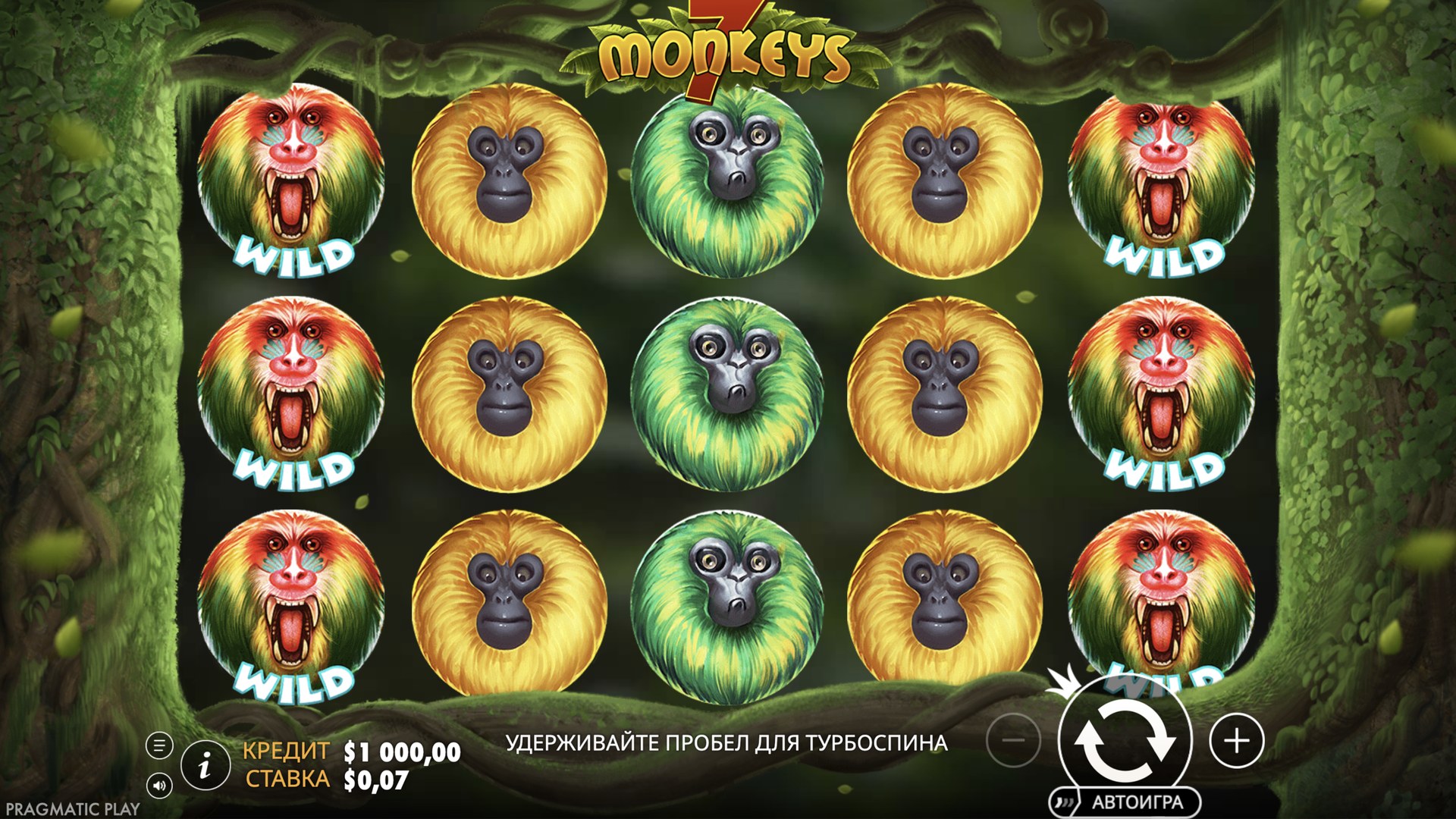 7 Monkeys