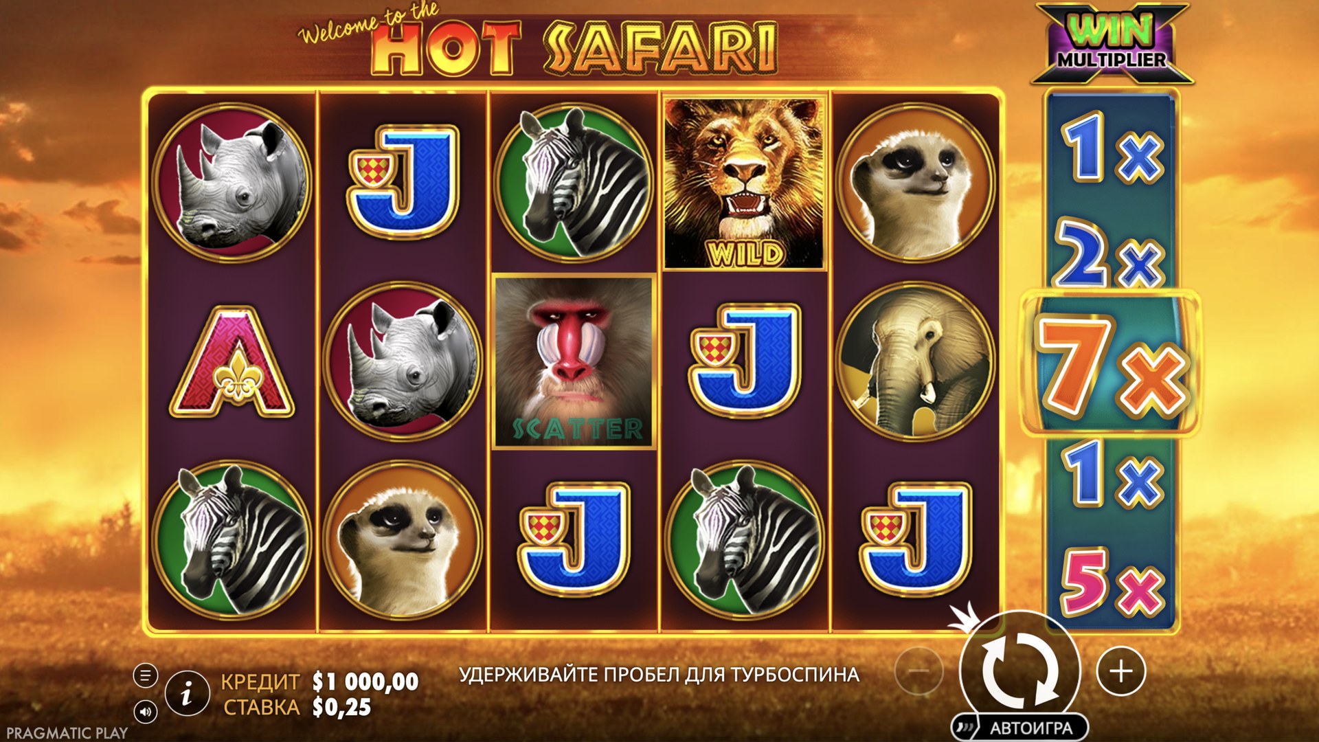 Hot Safari