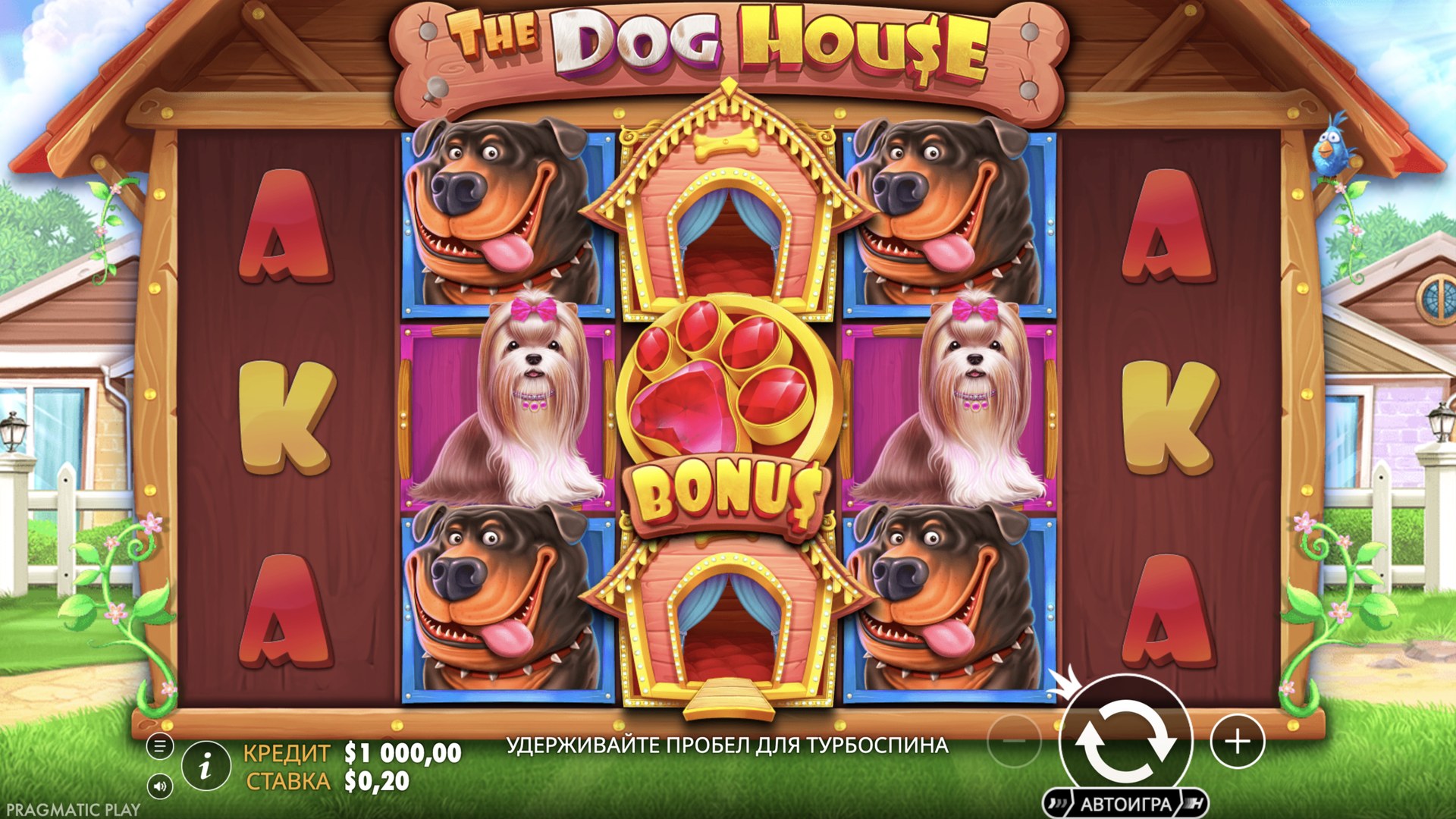 The Dog House