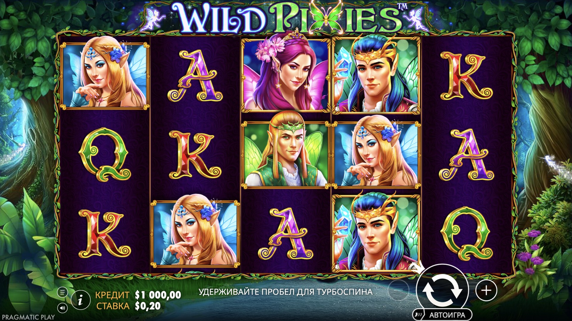 Wild Pixies