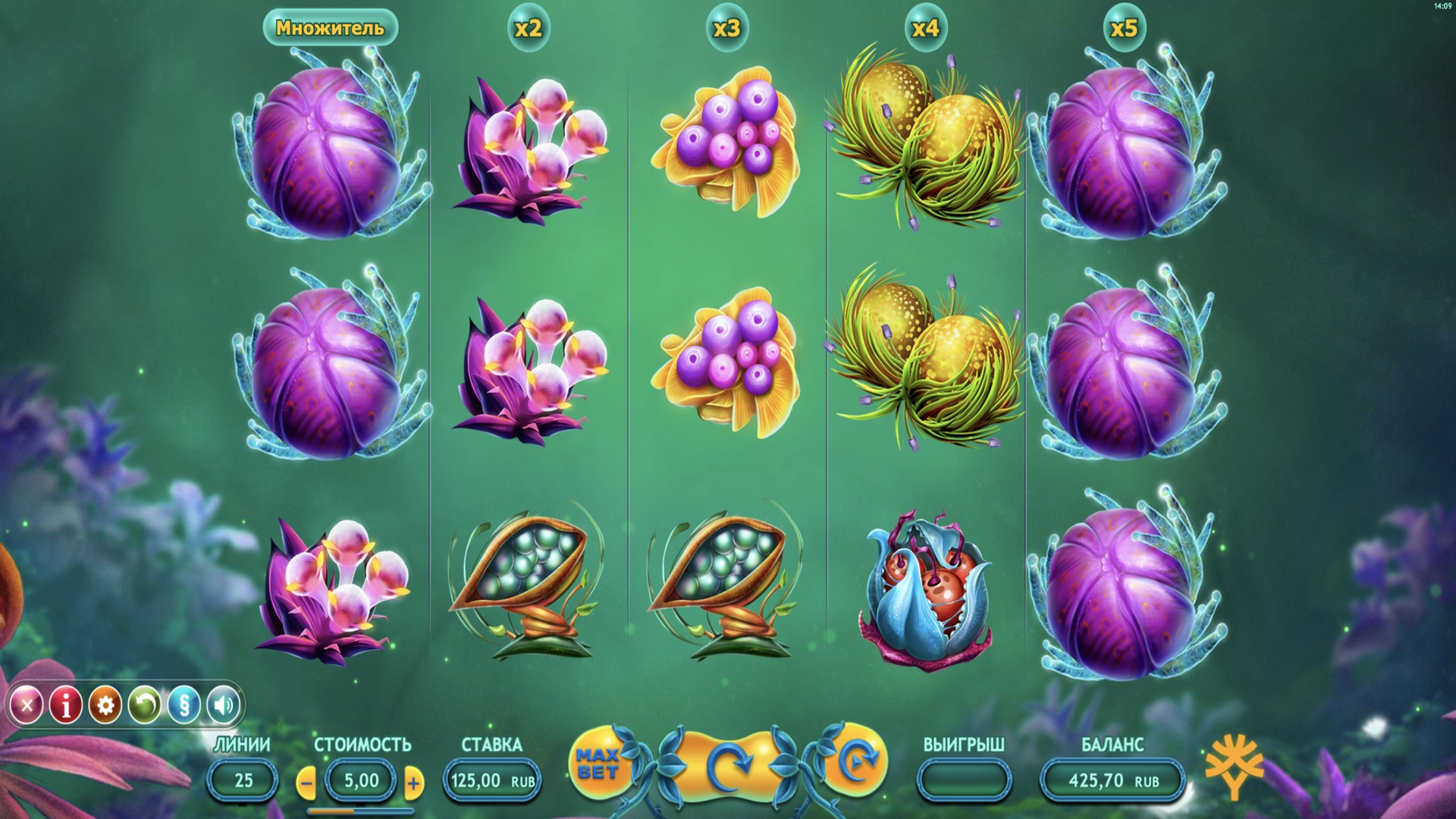 Fruitoids