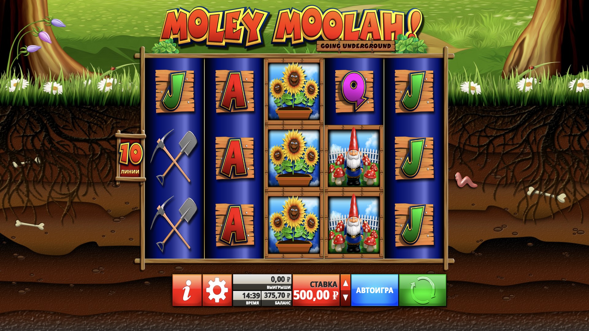 moley_moolah