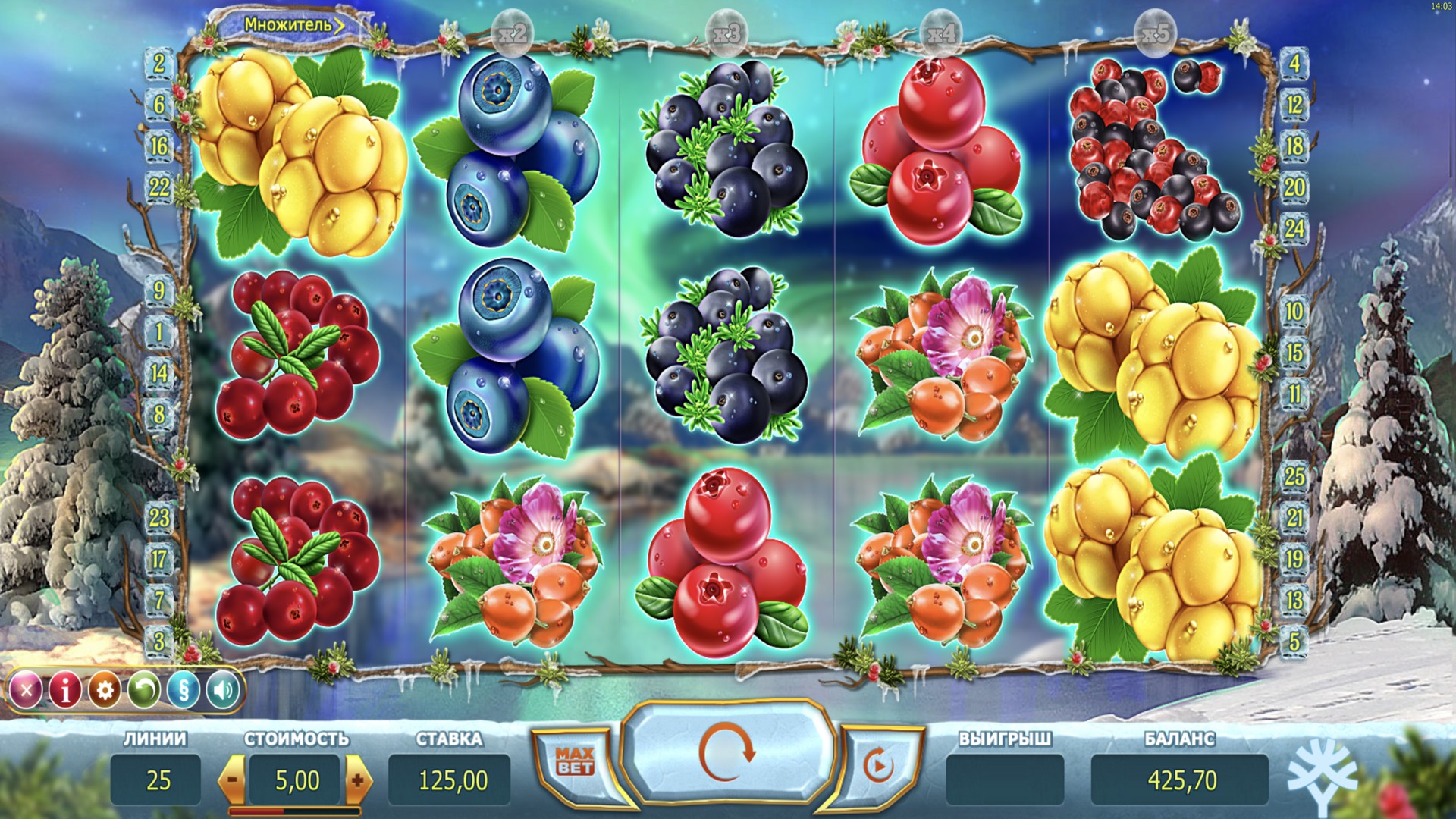 Winterberries