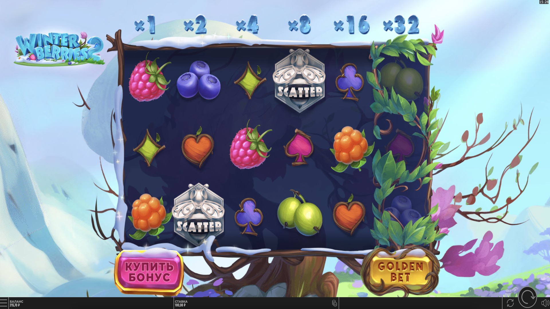 Winterberries 2